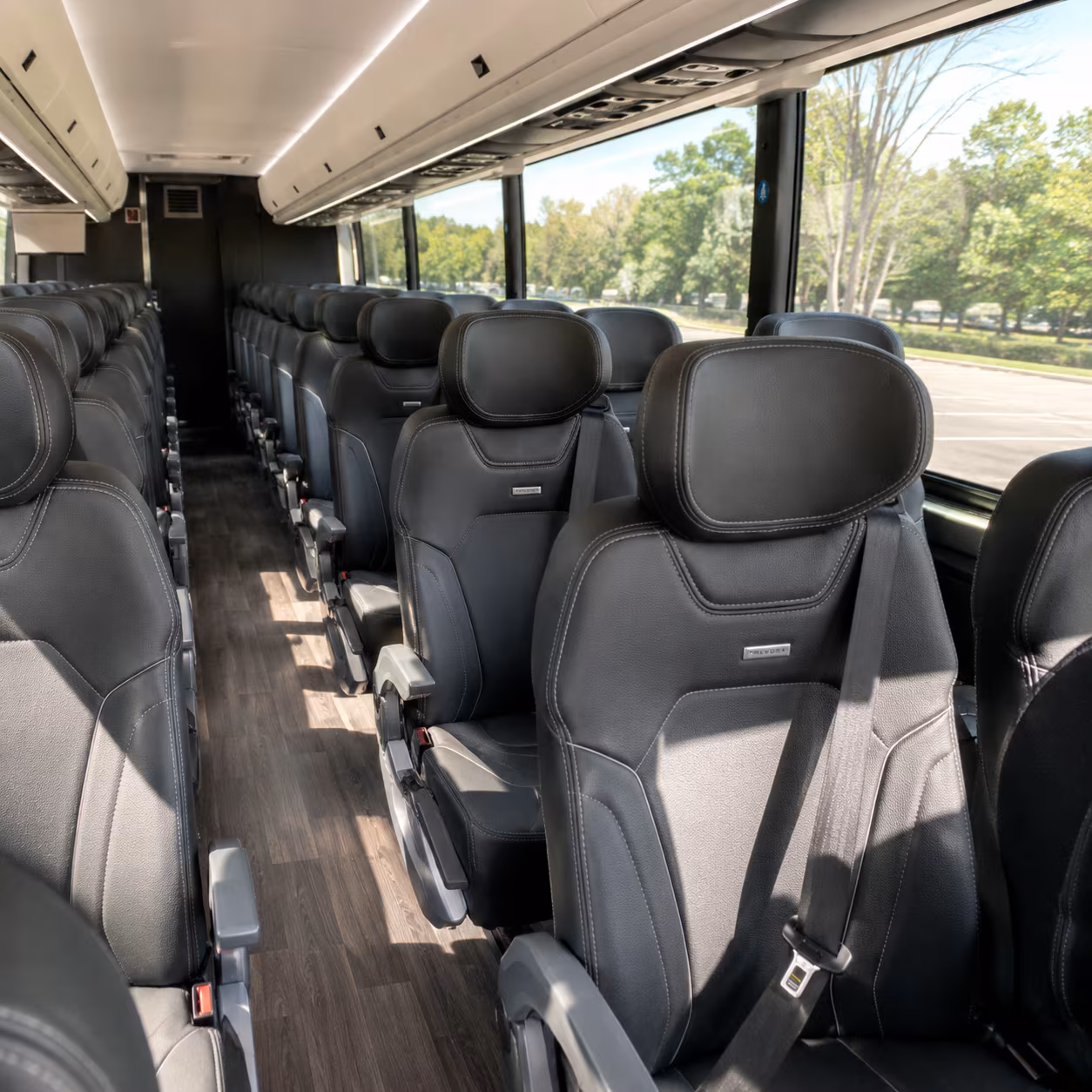 great falls long distance transportation onboard seating